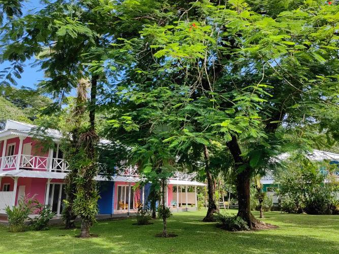 Tortuga Lodge & Gardens By Boeena Тортугеро Номер фото